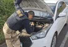 PRF recupera carro furtado na BR-153, em Rio Preto