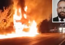 Motorista morre após carro bater de frente com caminhão boiadeiro em Andradina