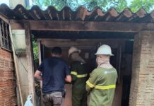 Operação flagra furto de energia em granja e depósito de bebidas em Nipoã