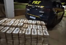Polícia apreende mais de 200 quilos de pasta base de cocaína em fundo falso de caminhão carregado com amendoim