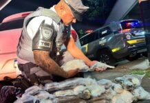 Trio é preso com drogas e armamento em rodovia de Mirassol