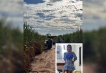 Caminhoneiro é preso suspeito de matar a mulher em Araçatuba; corpo dela foi encontrado em canavial