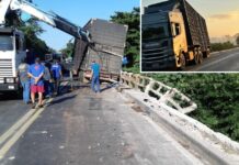 Caminhão boiadeiro com 48 cabeças de gado fica suspenso em ponte na BR-153