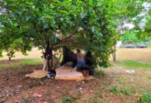 Secretaria de Direitos Humanos realiza novos atendimentos às pessoas em situação de rua