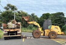 Votu+Limpa: região do Jardim Alvorada abre cronograma de coletas nesta segunda-feira