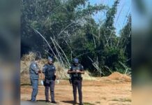 Corpos de homem e mulher são encontrados com marcas de tiros em área rural de Valparaíso