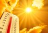 Calor intenso: entenda o que as altas temperaturas causam no corpo