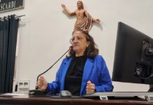 Vereadora denuncia falta de servidores em escolas de Votuporanga