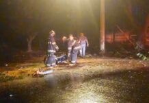 Árvore cai em cima de motociclista durante chuva em Rio Preto