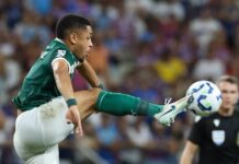 Palmeiras responsabiliza gramado do Castelão por problemas de Micael e Vitor Roque