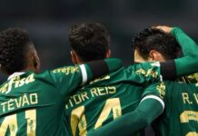 Palmeiras fará mais de R$ 400 milhões em vendas no ano e vai bater meta em julho