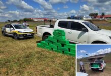 Operação apreende carregamento de maconha na Rodovia Péricles Bellini
