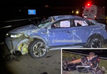 Vaca invade pista e causa acidente na Rodovia Euclides da Cunha