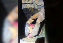 Homem que fugiu por bueiro suspeito de esfaquear segurança ao tentar furtar carro em supermercado é preso dentro de tubulação