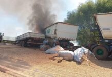 Motoristas morrem em batida frontal entre caminhões em rodovia de Pereira Barreto