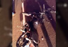 Motociclista fica gravemente ferido após acidente com caminhão em Glicério