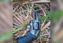 Foragido da Justiça morre durante troca de tiros com a Polícia Ambiental