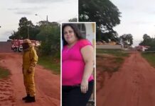 Adolescentes jogam pedras em colmeia e mulher morre picada por abelhas