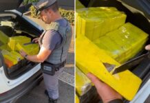 Traficante é preso com mais de 240 kg de maconha na Rodovia Washington Luís, em Mirassol