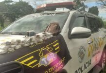 Idoso é preso com haxixe em ônibus na SP-425, em Penápolis