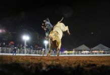 Montarias em touros do Votu International Rodeo serão transmitidas gratuitamente