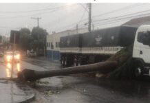 Temporal na tarde desta sexta-feira causa estragos em Jales e cidades da região