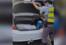 Homem é preso transportando 100 tabletes de maconha dentro de carro em rodovia de Mirassol