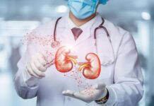 Insuficiência renal: fatores que levam à perda da função dos rins