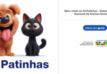 PETS RG para cães e gatos: tire dúvidas sobre a nova ação do Governo Federal