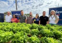 Agronomia e núcleos da Unifev destinam hortaliças para Apae Votuporanga