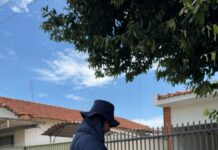 Dengue: mutirão e nebulização veicular chega no Jardim das Palmeiras