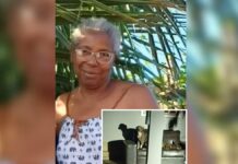 Tutores de pit bulls que mataram mulher em Penápolis são condenados por homicídio culposo