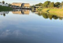 Mortandade de peixes é registrada na represa do Parque da Cultura