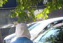 Área Azul: Tribunal de Contas anula licitação e tira controle do Centro Social