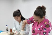 Votuporanga está entre os 8% dos municípios do Brasil que oferecem políticas públicas voltadas aos animais