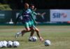 Palmeiras treina com Felipe Anderson, e Bruno Rodrigues dá novo passo para voltar a atuar
