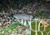 Palmeiras será julgado por gritos homofóbicos e cabeças de galinha atiradas no campo em Dérbi