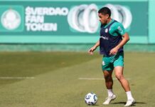Vitor Roque se reapresenta após problemas particulares, e Micael treina sem restrições no Palmeiras