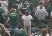 Palmeiras é multado em R$ 286 mil por gesto racista de torcedor em jogo contra o Cerro Porteño