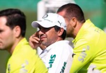 Palmeiras inicia preparativos para Libertadores sem Felipe Anderson