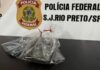 Polícia Federal deflagra a 23ª Fase da Operação Cassiel
