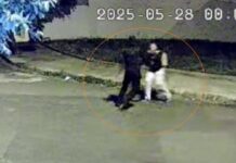 Grávida esfaqueada por dupla ao descer de ônibus em Rio Preto teve fígado, baço e intestino perfurados, diz mãe