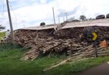 Caminhão bitrem que transportava madeira tomba em Suzanápolis