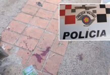 Casal é preso suspeito de castrar cão com faca de cozinha em Buritama