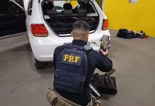 Polícia persegue carro e apreende mais de meia tonelada de maconha na BR-153 de Rio Preto