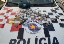 Adolescente é detido suspeito de transportar drogas em carro, fugir da polícia pela contramão em avenida e bater contra viatura