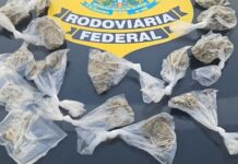 PRF flagra porções de maconha escondidas em bota na BR-153 em Nova Granada