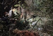 Motorista morre após caminhão cair de ponte em estrada rural de Santo Antônio do Aracanguá