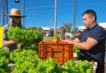 Unifev, através do seu Núcleo de Valorização do Meio Ambiente, incentiva práticas sustentáveis