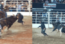 VOTU INTERNATIONAL RODEO – Fotógrafo é atingido pelo touro considerado o mais valorizado do Brasil